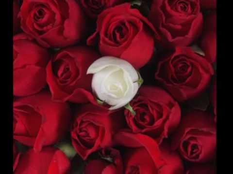 Enrico Macias♥ Quand on est Amoureux♥Happy Valentine's Day